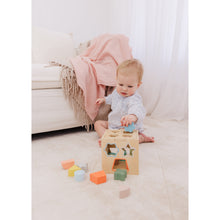 Load image into Gallery viewer, Bubble Wooden Shape Sorting Cube