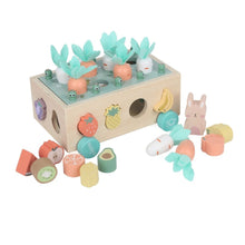 Load image into Gallery viewer, Bubble Wooden Vegetable Garden