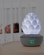 Load image into Gallery viewer, Skip Hop Terra Cry-Activated Soother