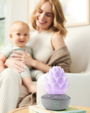 Load image into Gallery viewer, Skip Hop Terra Cry-Activated Soother