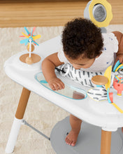 Load image into Gallery viewer, Skip Hop Discoverosity 3-Stage Activity Center