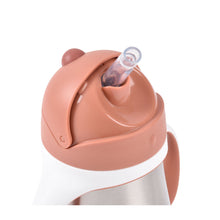 Load image into Gallery viewer, Beaba Stainless Steel Straw Cup 250ml - Terracotta
